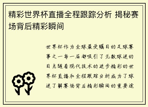 精彩世界杯直播全程跟踪分析 揭秘赛场背后精彩瞬间